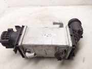 Ladeluftkühler VW TIGUAN (CT1) 1.5 eTSI 04E145785N