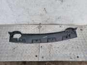 Bodenschutz der Frontstoßstange NISSAN PATHFINDER III (R51) 2.5 dCi 4WD 96121