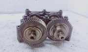 Oil Pump Chain RENAULT ESPACE IV (JK0/1_) 2.0 dCi (JK01, JK02, JK1J, JK1K) 8200488527