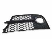Gitter vorne unten AUDI TT Roadster (8J9) 2.5 RS quattro 8J0807681H