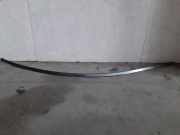 Dachleiste links BMW 5 (G30) 520 d