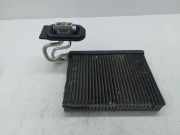 A/C Matrix Heater BMW X5 (E70) xDrive 30 d 64119187630