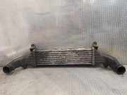 Ladeluftkühler MERCEDES-BENZ C T-Model (S202) C 220 T CDI (202.193) 2025001100