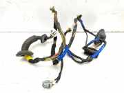 Türverkabelung hinten rechts HYUNDAI SONATA V (NF) 2.0 CRDi 916603K020
