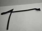 Türgummi rechts vorne Mercedes-Benz CLS (C218)