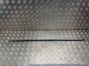 Türverkleidung links hinten Renault Laguna III (T)