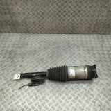 Rear right pneumo shock absorber TESLA MODEL S P100D AWD 1066466-00-C