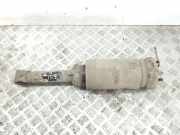 Pneumatischer Stoßdämpfer vorne links LAND ROVER RANGE ROVER SPORT (L320) 2.7 D 4x4 22241483