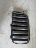 Gitter Grill vorne links BMW X3 (F25) xDrive 35 i