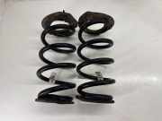 Schraubenfeder hinten links TESLA MODEL 3 EV AWD 104447201E