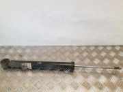 Stoßdämpfer hinten rechts