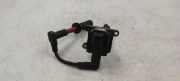 Zündspule Alfa Romeo 155 (167) 1227030062