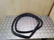 Türdichtung Audi A3 (8L)