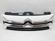 Kühlergrill oben Citroen Jumpy II Kasten () 1440172580