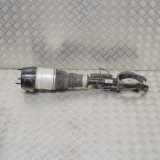 Stoßdämpfer vorne links MERCEDES-BENZ GLS (X166) 350 d 4-matic (166.824) A1663234900