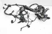 Motor Kabelbaum BMW 6 Gran Coupe (F06) 640 d 8507981