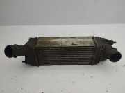 Ladeluftkühler Citroen C5 II Break (RE) 9657073480