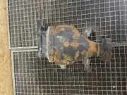 Hinterachsgetriebe Mercedes-Benz S-Klasse (W221) 2213503914