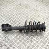 Stoßdämpfer vorne links