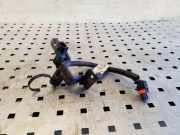 Kabelbaum CHEVROLET CAPTIVA (C100, C140) 2.2 D 20946708