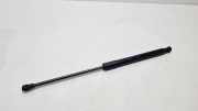 Gasfeder für Motorhaube Alfa Romeo Giulia (952) 50543487