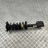 Stoßdämpfer vorne links MITSUBISHI COLT CZC Cabrio (RG) 1.5 (Z23) 801402000101 98092201AD0