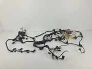 Motor Kabelbaum BMW 1 Coupe (E82) 123 d 7802158
