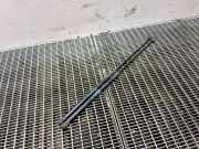Heckklappe Gasdruckfeder links LAND ROVER RANGE ROVER EVOQUE (L538) 2.2 D BJ32406A10AB