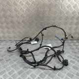 Kabelbaum Hinteren Parksensoren