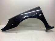 Kotflügel vorne links