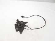 Radnabe hinten Renault Grand Scenic III (JZ) 430190028R