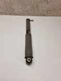 Stoßdämpfer hinten links RENAULT GRAND SCÉNIC IV (R9_) 1.6 dCi 130 17060832