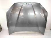 Motorhaube BMW X1 (E84) xDrive 20 d