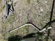 Auspuffanlage hinten Citroen C4 I (LC)