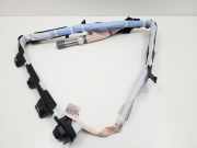 Airbag Dach rechts Lexus GS 4 (L1) 6217030121