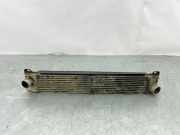 Ladeluftkühler FIAT DUCATO Furgon (250_, 290_) 120 Multijet 2,3 D 4x4 G0352