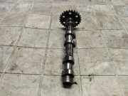 Auspuffkrümmer Subaru Forester (SH) H625