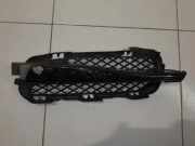 Gitter vorne unten JAGUAR XF (X250) 3.0 D