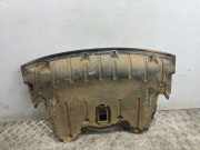 Schutz des Motorkurbelgehäuses BMW X5 (E70) M 8037195