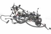 Motor Kabelbaum BMW X1 (E84) xDrive 20 d 7812746