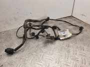 Kabelbaum NISSAN QASHQAI / QASHQAI +2 I (J10, JJ10) 2.0 dCi 24017EY10A
