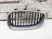 Gitter Grill vorne links BMW 5 Touring (E61) 525 d 7065704