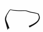 Türgummi links vorne Toyota RAV 4 IV (A4)