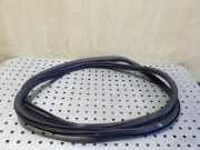 Türgummi links vorne Peugeot 308 I SW () 9677519680