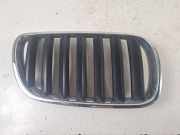 Vorderer oberer Gitter BMW X3 (E83) 2.0 d 3420088