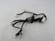 Türverkabelung hinten links TOYOTA YARIS (_P13_) 1.4 D-4D (NLP130_)