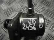 Kraftstoffpumpe Lexus RX 4 (L2) 2310131100