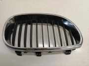 Vorderer oberer Gitter BMW 5 (E60) 520 d 7065702