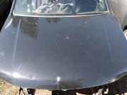 Motorhaube SUZUKI GRAND VITARA II (JT, TE, TD) 1.9 DDiS 4WD (TD44, JT419, JB419WD)