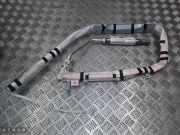 Airbag Dach rechts Nissan Murano II (Z51)